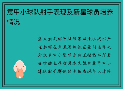 意甲小球队射手表现及新星球员培养情况